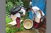 Dakshina Kannada DHO cautions dengue patients against consuming paracetamol without consulting doctor